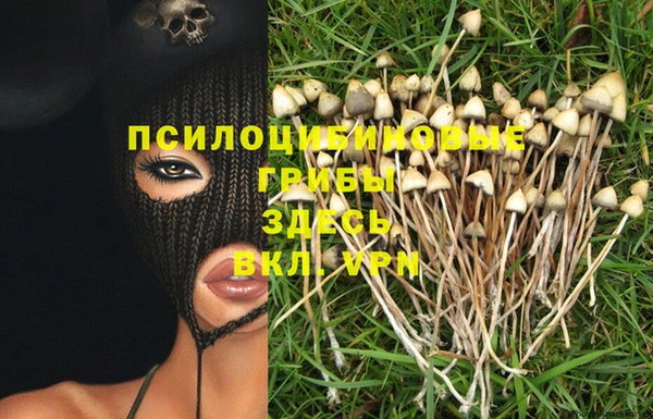 ALPHA PVP Нефтекумск