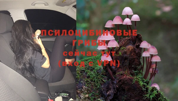 ГАЛЛЮЦИНОГЕННЫЕ ГРИБЫ Нея