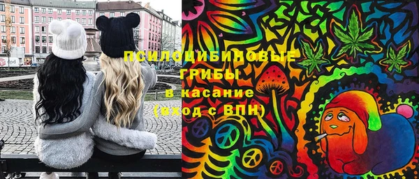 ГАЛЛЮЦИНОГЕННЫЕ ГРИБЫ Нея