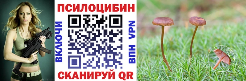 блэк спрут маркетплейс  Ужур  Псилоцибиновые грибы MAGIC MUSHROOMS  где купить наркоту 